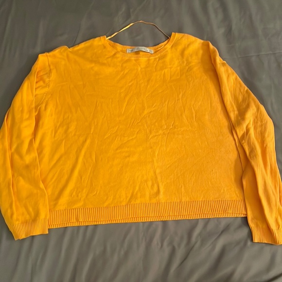 Zara Sweaters - Zara knit sweater